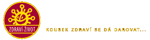 logo_ZZ